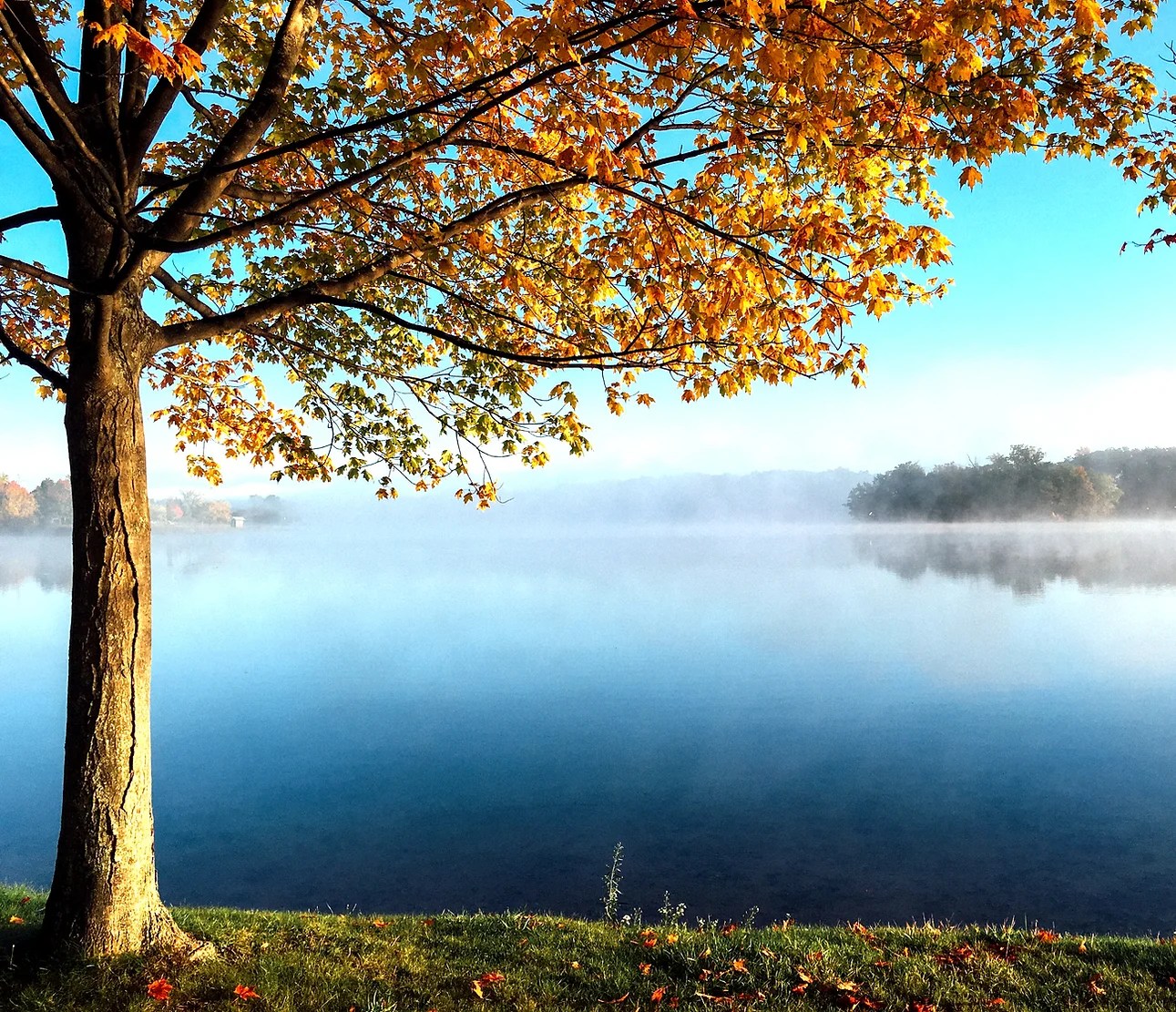 Family Healing in one location - schedule and appointment today.